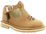 ASTER BIMBO<br>camel