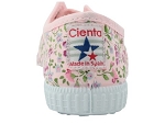 Cienta ingles fleurs rose2293502_3