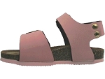 Goldstar 815 rose2321601_3