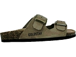 GOLDSTAR GS200VQ<br>TAUPE