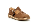 Aster dingo 2 camel2385002_1