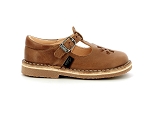 Aster dingo 2 camel2385002_2