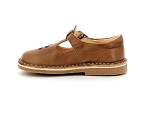 Aster dingo 2 camel2385002_4