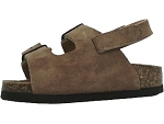Scholl turtle taupe2389402_3