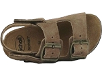 Scholl turtle taupe2389402_4