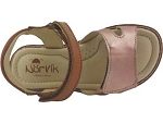 Norvik fona cognac2423701_4