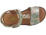 Gbb farena or2435801_4