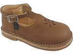 ASTER BIMBO 2<br>camel