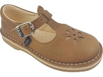 ASTER DINGO 2<br>camel