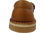 Aster dingo 2 camel2492002_2