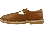 Aster dingo 2 camel2492002_3