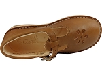 Aster dingo 2 camel2492002_4