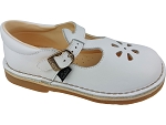 ASTER DINGO 2<br>blanc