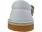 Aster dingo 2 blanc2492003_2