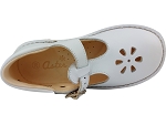 Aster dingo 2 blanc2492003_4
