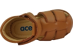 Acebos 1235at cognac2497301_4