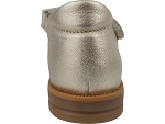 Acebos 1310et or2497502_2