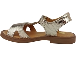 Gbb farena or2508101_3