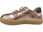 Lunella 25601 or2520401_3