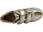 Lunella 25603 or2520501_4