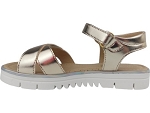 Lunella 25685 or2520701_3