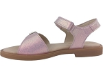 Beberlis 24460 rose2529202_3