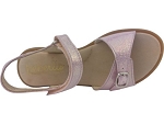 Beberlis 24460 rose2529202_4