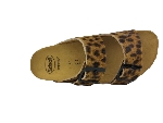 Scholl josephine .2529605_3
