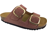 SCHOLL NOELLE<br>rose